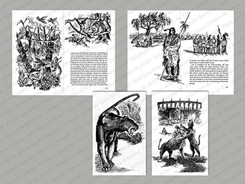 ILLUSTRATION |  Jugendbuch, Abenteuer in fernen Landen (u. a. für Verlage Loewes, Ensslin); Fabeln. Tusche auf gekörntem Spezialpapier 