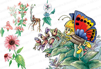 CHARACTER-DESIGN / ILLUSTRATION |  populärwissensch. Arbeiten für einen Kräuterbonbonhersteller; Sympathiefigur Salvinchen (Agentur KB-zwo) 