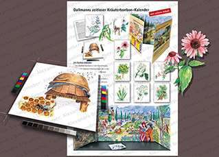 populärwiss. ILLUSTRATION |  Mit Bonbons gefüllter Klapp-Kalender und das Zubehör;  populärwissenschaftliche Arbeiten für einen Kräuterbonbonh 