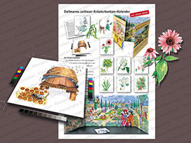 populärwiss. ILLUSTRATION |  Mit Bonbons gefüllter Klapp-Kalender und das Zubehör;  populärwissenschaftliche Arbeiten für einen Kräuterbonbonh 